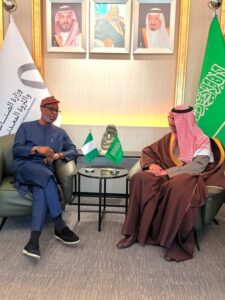 Nigeria Pitches $600 Million Lithium, Gold to Saudis