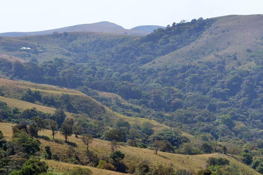 Nigeria to Deploy Veterans to Secure Ungoverned Spaces