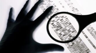 Nigeria to Use DNA to Identify Terror Suspects