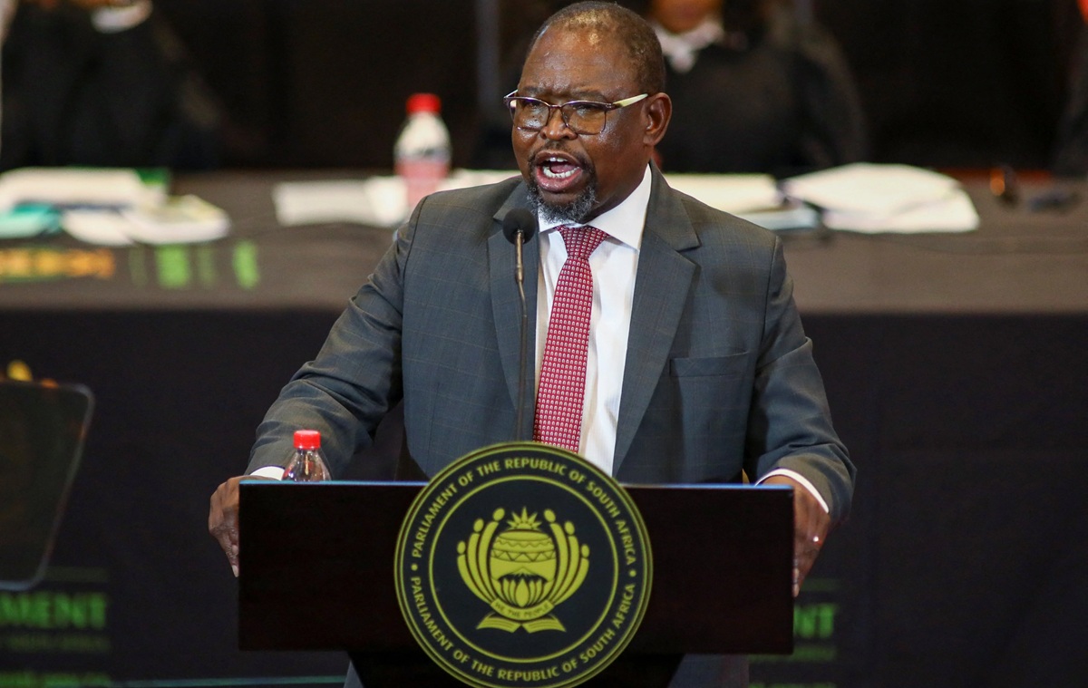 SA Still Repairing Fiscal Damage From Zuma Era - Minister