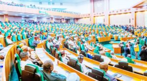 House of Reps to Hold Emergency Election Sitting