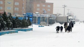 Snow, Heavy Rain Kill 61 in Afghanistan
