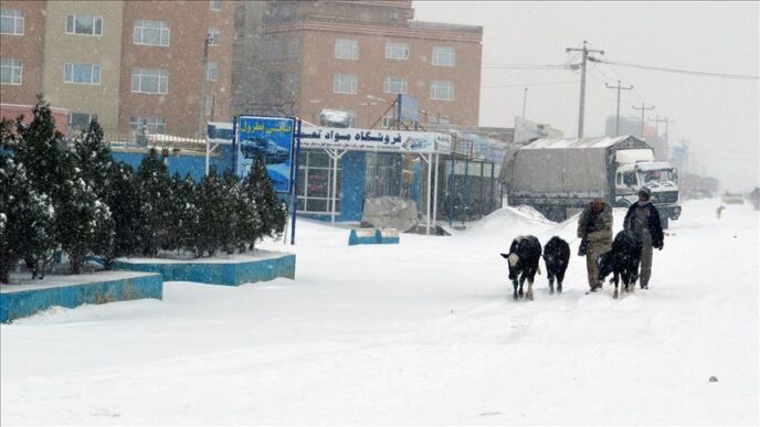 Snow, Heavy Rain Kill 61 in Afghanistan
