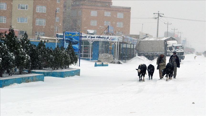 Snow, Heavy Rain Kill 61 in Afghanistan