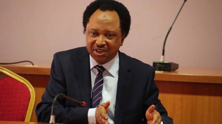 Sani Mocks Fake Agencies After Another Is Exposed