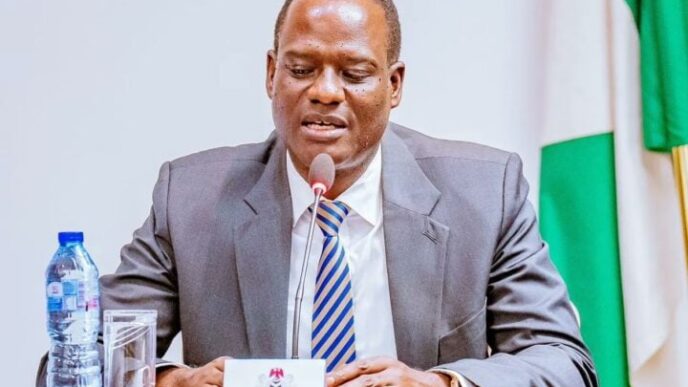 Oyedele Denies Report on Tax Law Pause