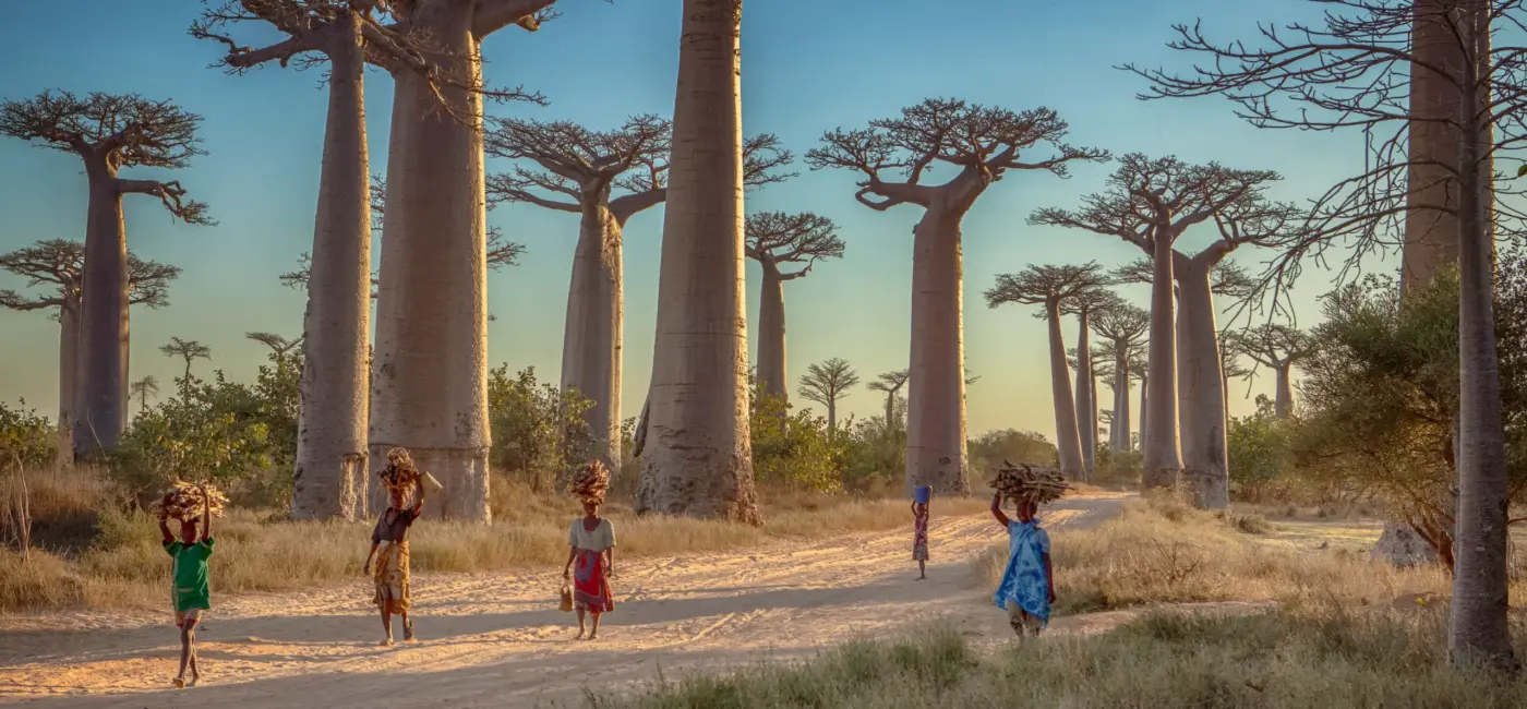 The Safest Places in Africa to Visit Now