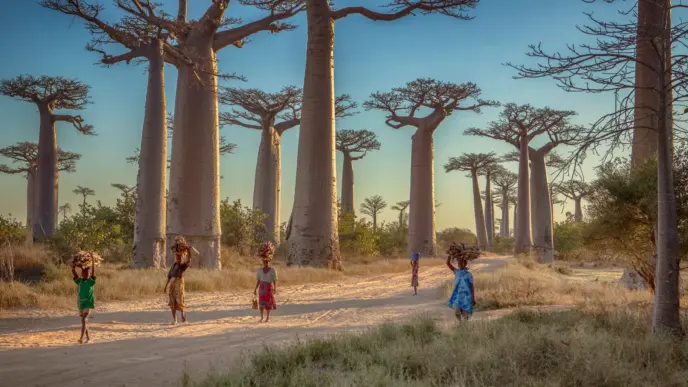 The Safest Places in Africa to Visit Now