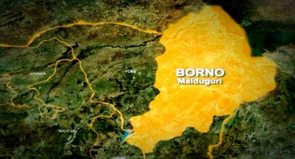 Troops Kill Three Suicide Bombers in Borno