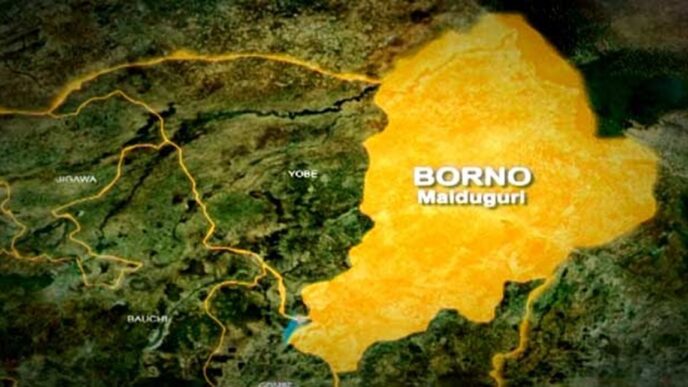 Troops Kill Three Suicide Bombers in Borno