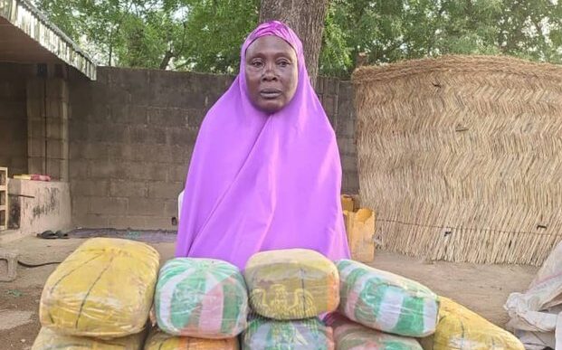Troops Nab Boko Haram Cannabis Supplier in Borno