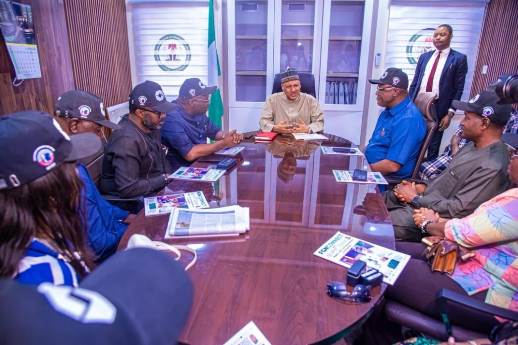 We Must Speak Positively About Nigeria – Presidency