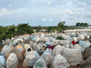 World Bank Approves $12 Million for Nigeria IDP States