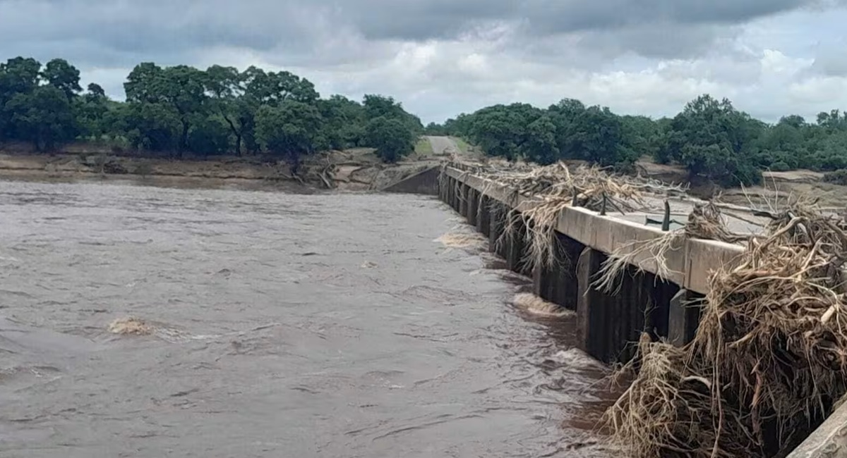 Floods Damage South Africa’s Kruger National Park