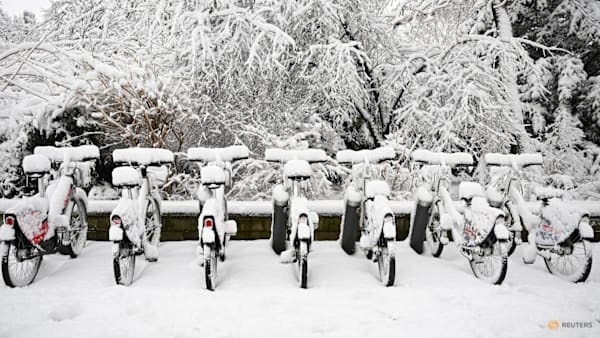 Snowstorm (News Central TV)