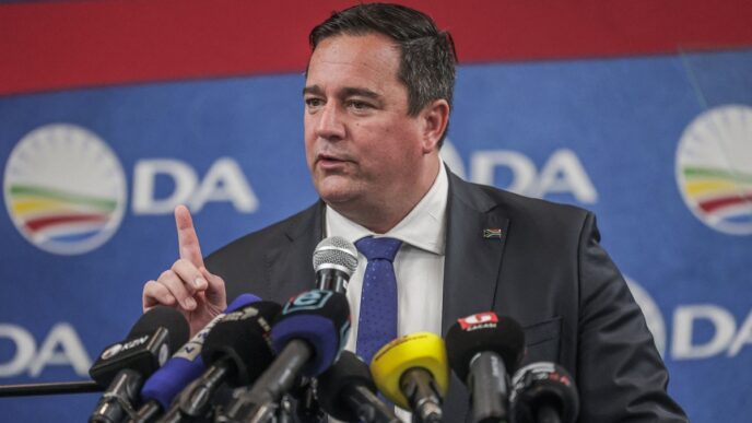 Steenhuisen (News Central TV)