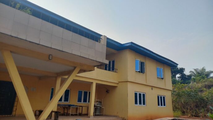 Abandoned Imo PHC Leaves Residents Without Care