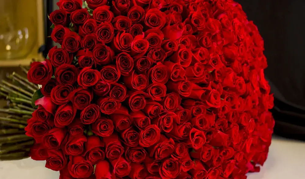 Africa Ships Millions of Roses During 2026 Valentine