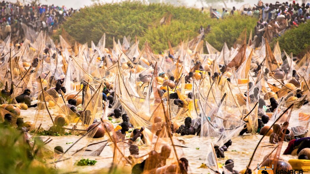 Argungu (News Central TV)