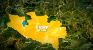 More Than 45 Killed in Niger State Attacks