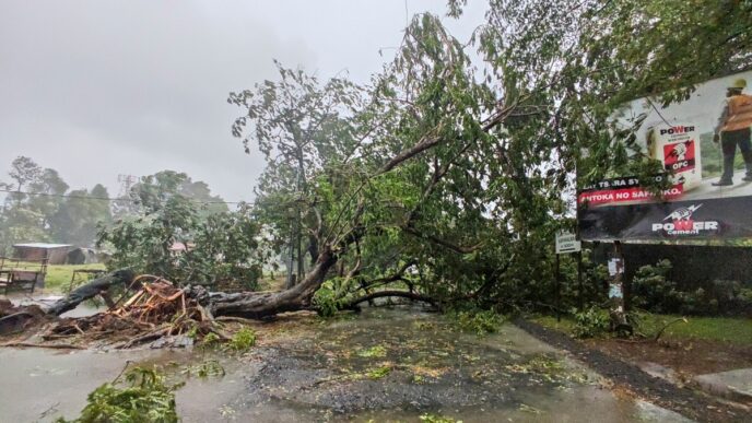 Cyclone Kills 31 in Madagascar’s City