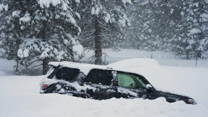 Eight Missing Californian Skiers Found Dead