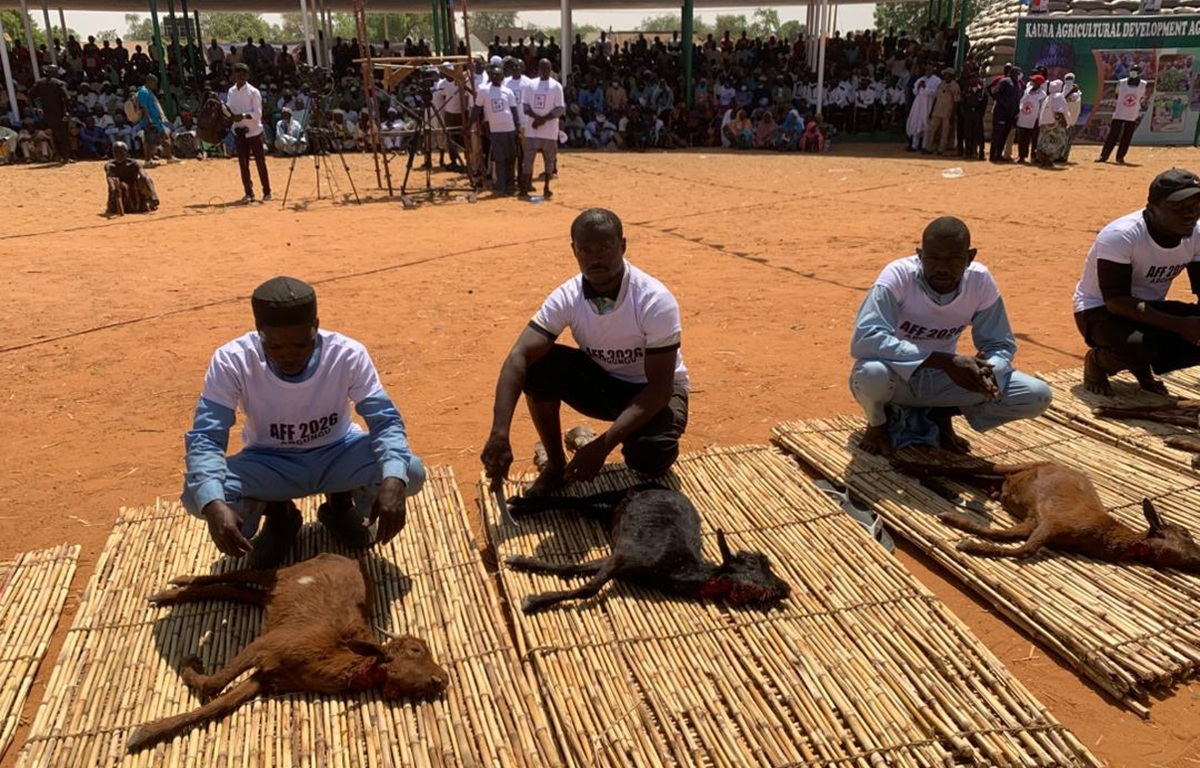Argungu International Fishing Festival Kicks Off in Kebbi