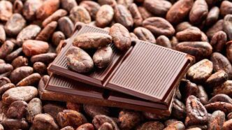 Ghana Ends Foreign Cocoa Funding, Stops Raw Mineral Exports