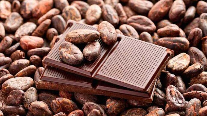 Ghana Ends Foreign Cocoa Funding, Stops Raw Mineral Exports