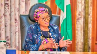 Nigerian Leaders Praised Abroad, Criticised at Home - Remi Tinubu