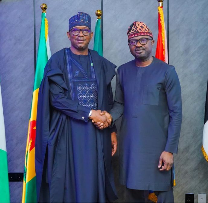 Nigeria Considers New Visa Category for Sports