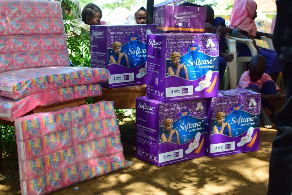 Senegal Protests Over Sanitary Pad Scandal