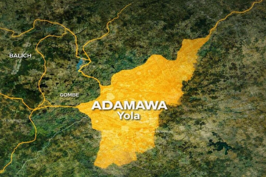 Terrorists Attack Adamawa Governor’s Hometown