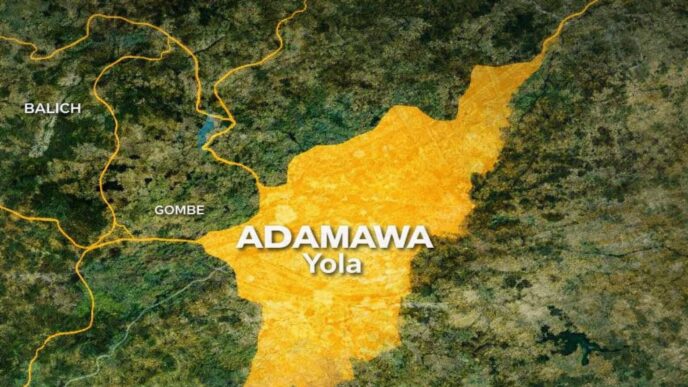 Terrorists Attack Adamawa Governor’s Hometown