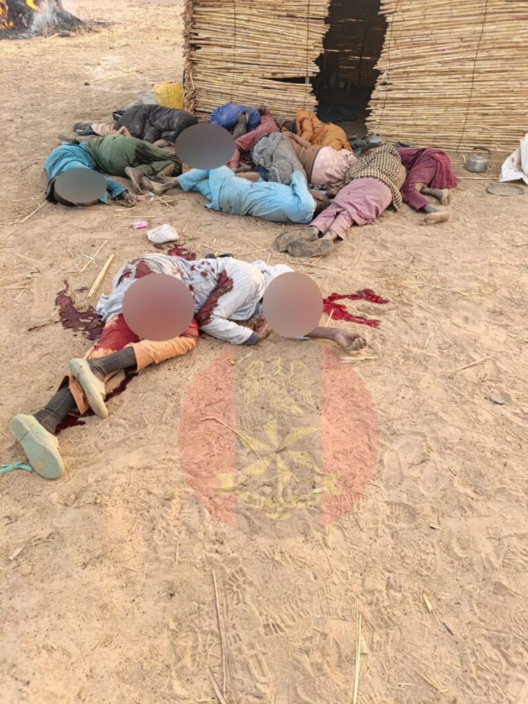 Troops Kill 29 Terrorists in Borno, Yobe