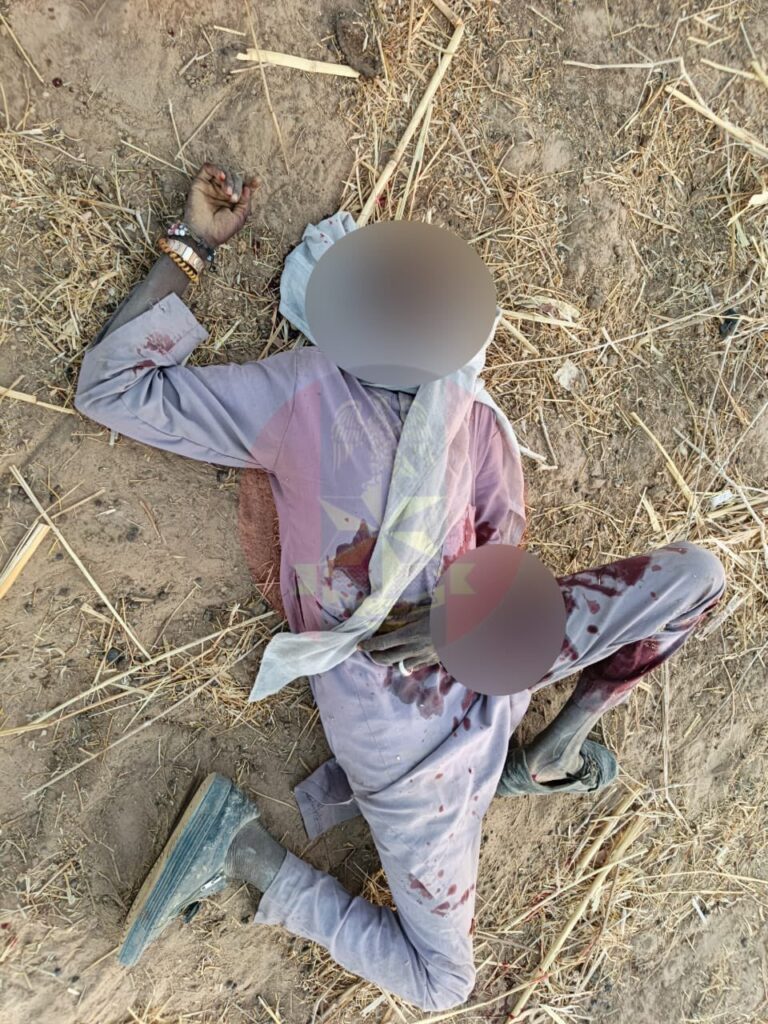 Troops Kill 29 Terrorists in Borno, Yobe