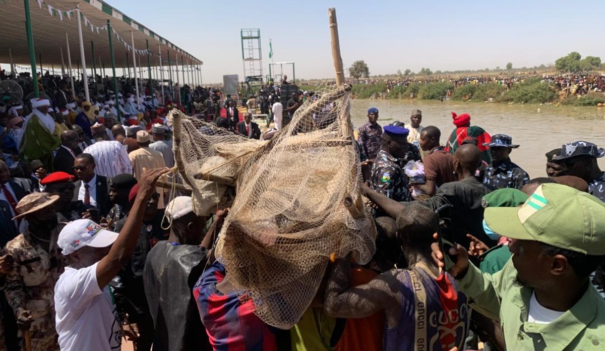 Largest Fish at Argungu Festival Weighs 59kg