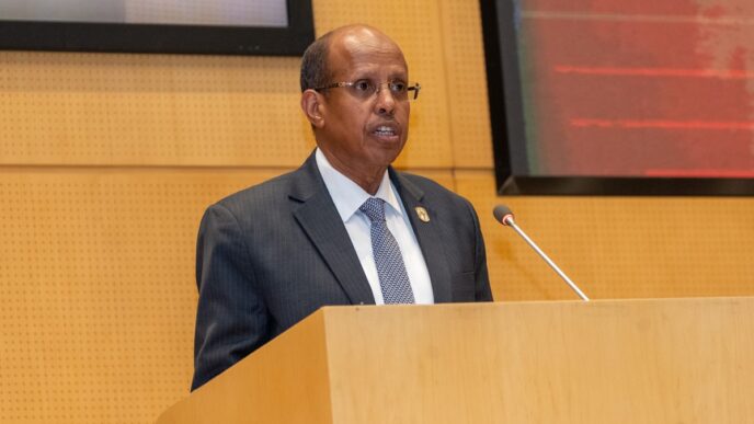 AU Summit: Youssouf Calls for End to Palestinian 'Extermination'