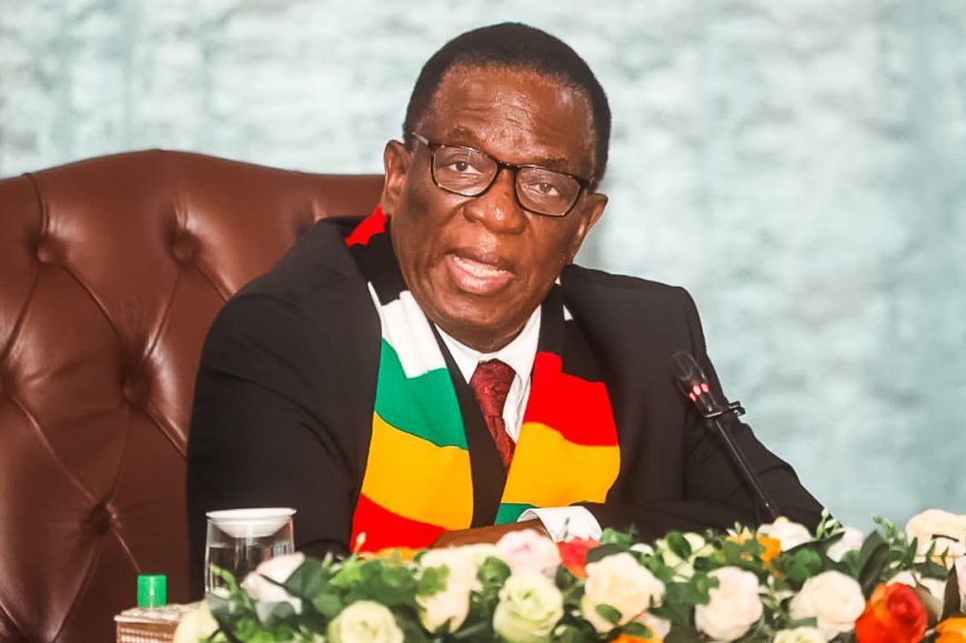 Zimbabwe Pulls Out of US Health Aid Negotiations