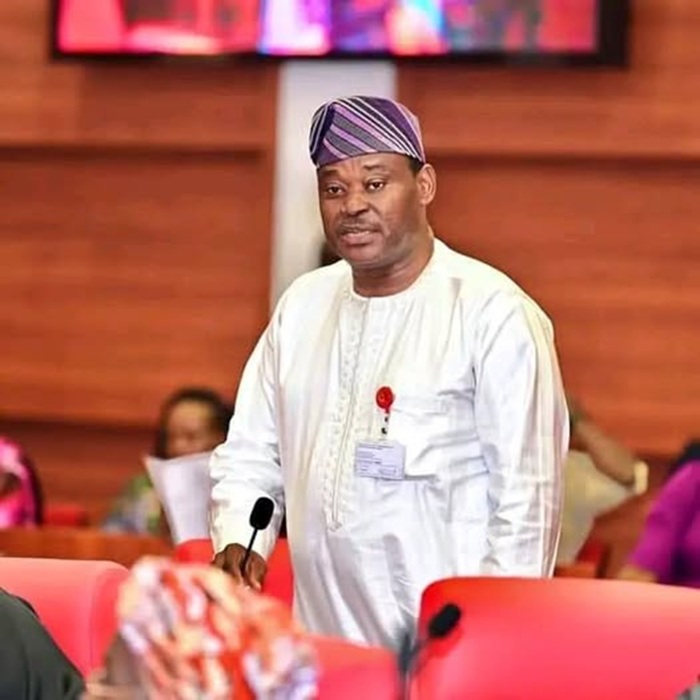 Tinubu’s Reforms Keep Nigeria off Global Top Debt List -Ibrahim