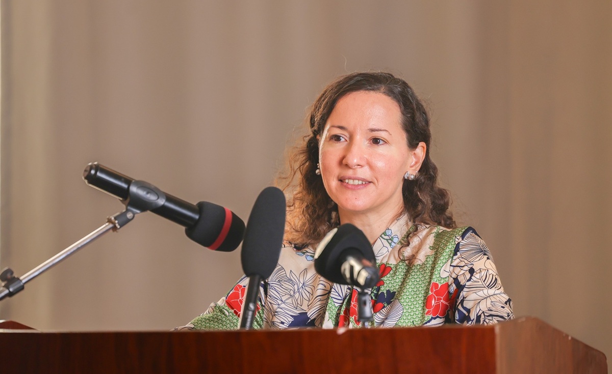 Chief of Mission - International Organization for Migration in Djibouti.