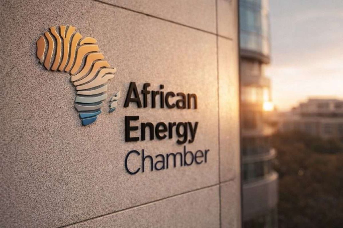 Africa Energies Summit Boycott Widens Over inclusion Row