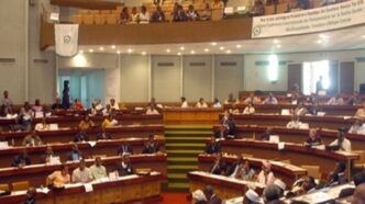 Cameroon Lawmakers Extend Tenure Again