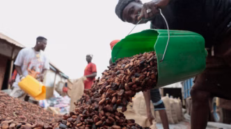 Cocoa (News Central TV)