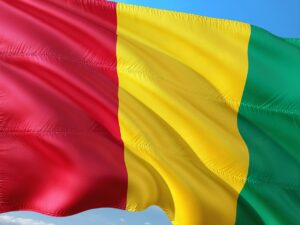 Guinea Dissolves 40 Political Parties