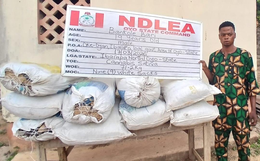 NDLEA Operatives Recover Skunk, Tramadol from Traffickers (News Central TV).