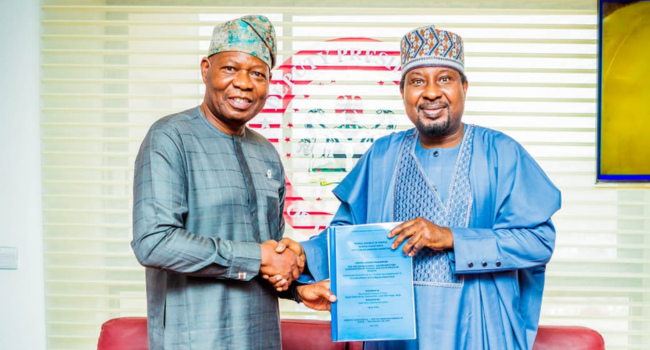 IGP Presents State Police Framework to Senate