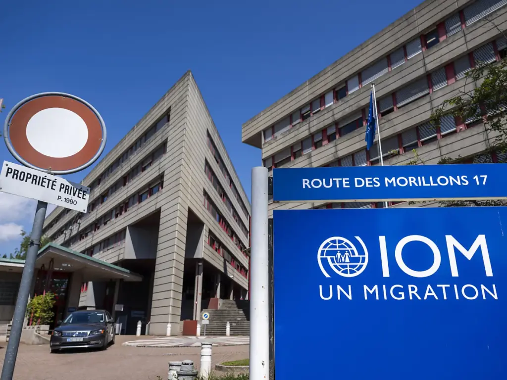 IOM: 8,000 Dead, Missing Migrants in 2025(News Central TV)