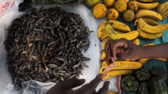 Inflation (News Central TV)