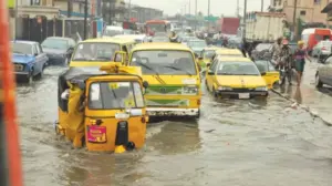 NEMA Identifies 34 Flood-Risk Zones in Southwest (News Central TV)